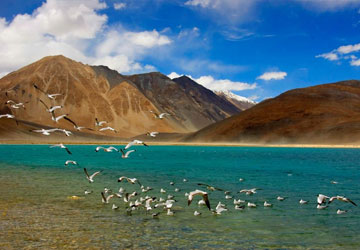 journey-to-ladakh